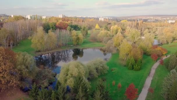 Aerial View Drone City House Located Middle Park Beautifully Protected — Stock Video