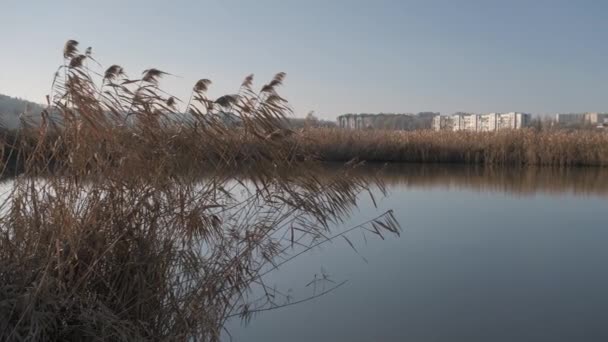 Widok Miasta Kiszyniów Przez Jezioro Parku Miejskim — Wideo stockowe