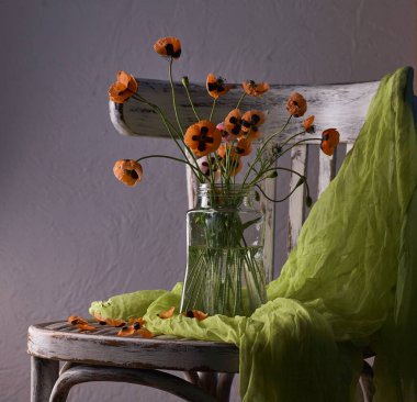 Klasik tarzda hazırlanmış küçük kırmızı gelincik buketi. Popies 'in klasik sandalyedeki vazoda durgun hayatı.