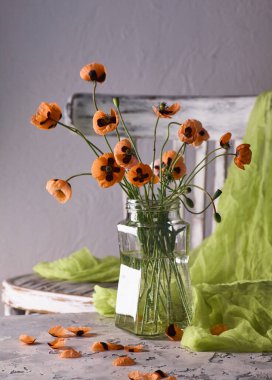 Klasik tarzda hazırlanmış küçük kırmızı gelincik buketi. Popies 'in klasik sandalyedeki vazoda durgun hayatı.