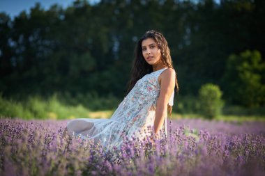 Beyaz sarafanlı güzel bir kız ahşap bir sandalyede oturur ve lavanta tarlasının ortasında poz verir..