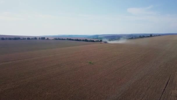 现代联合收割机在小麦作物上工作 对联合收割机的空中观察收集小麦 收获谷地 收获季节 — 图库视频影像