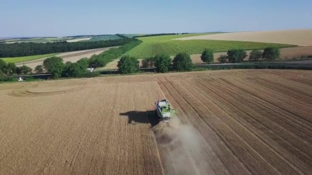 Colheitadeira Moderna Que Trabalha Uma Cultura Trigo Vista Aérea Sobre — Vídeo de Stock