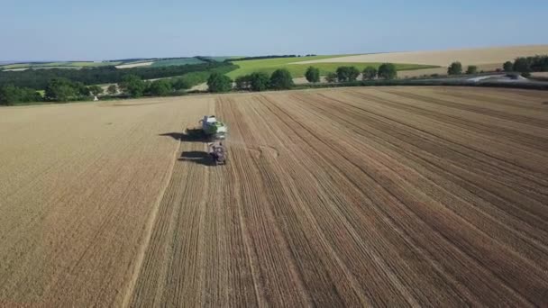 현대의 복합 수확기 가밀 수확을 위해 일하고 있습니다. 수확하는 사람들 의곡물을 공중에서 보면 밀 이 모인다. 곡식을 수확하는 밭, 수확기. — 비디오