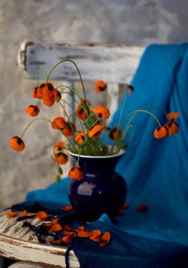 Mavi vazoda küçük bir kırmızı haşhaş buketi.