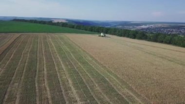 Buğday hasadı üzerinde çalışan modern biçerdöver. Buğdayı hasatçıların hava görüntüsü topluyor. Buğday tarlası, hasat mevsimi.