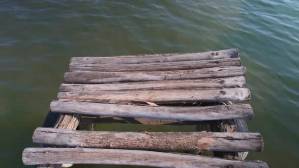 Pequeño Puente Sobre Agua Cerca Del Río — Vídeos de Stock