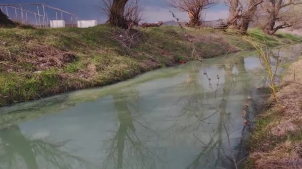 Umweltverschmutzung Verschmutztes Wasser Teich Naturkatastrophe — Stockvideo