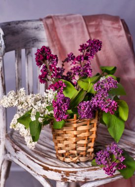 Vintage ahşap sandalyede vazoda leylak buketi.