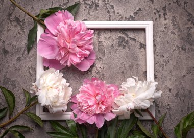 Paitions çiçekleri izole edilmiş ve gri arkaplanda beyaz çerçeve.