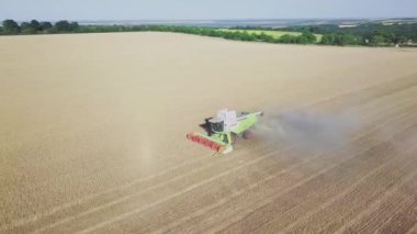 Buğday hasadı üzerinde çalışan modern biçerdöver. Buğdayı hasatçıların hava görüntüsü topluyor. Buğday tarlası, hasat mevsimi.