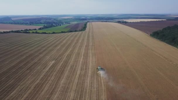 Moderna Cosechadora Que Trabaja Cultivo Trigo Vista Aérea Cosechadoras Combinadas — Vídeos de Stock