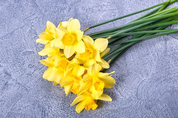 Narciso Amarelo Fresco Flores Narcisos Fundo Azul Brilhante Visão Superior — Fotografia de Stock