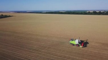 Buğday hasadı üzerinde çalışan modern biçerdöver. Buğdayı hasatçıların hava görüntüsü topluyor. Buğday tarlası, hasat mevsimi.