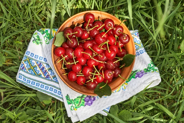 Tazón Lleno Cerezas Rojas Maduras Dulces Pie Sobre Hierba Verde — Foto de Stock