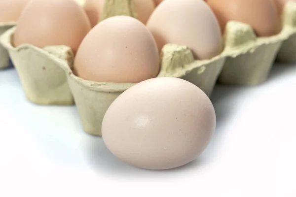 在白色背景的卡通片中对鸡蛋的特写 蛋盒中的生蛋有机食品对健康的高蛋白质 — 图库照片