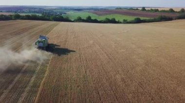 Buğday hasadı üzerinde çalışan modern biçerdöver. Buğdayı hasatçıların hava görüntüsü topluyor. Buğday tarlası, hasat mevsimi.