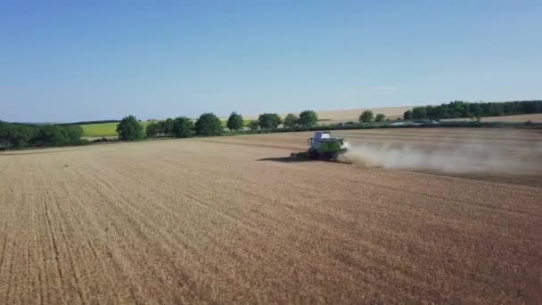Buğday Hasadı Üzerinde Çalışan Modern Biçerdöver Buğdayı Hasatçıların Hava Görüntüsü — Stok video