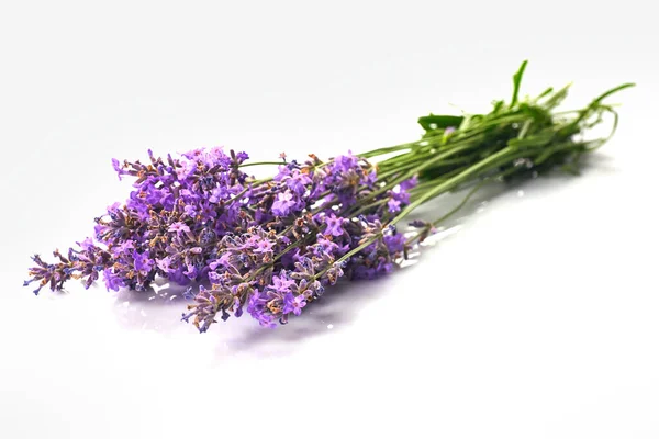 Bouquet Fleurs Lavande Isolé Sur Fond Blanc — Photo