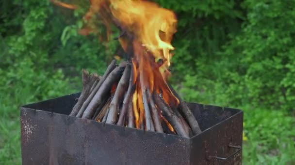 Brennholz Das Auf Einem Kohlenbecken Brennt Grill Garten Rauchende Lagerfeuer — Stockvideo