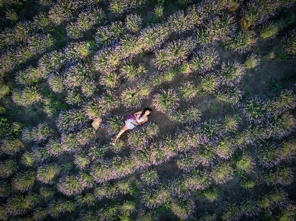 Ung Smal Ljushyad Flicka Brunett Vackra Ligger Lavendel Fält Ovanifrån — Stockfoto