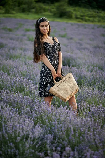 Mujer Con Una Cesta Campo Lavanda —  Fotos de Stock