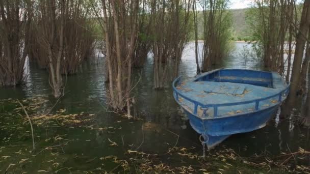 川の岸に古いボート 川の岸近くの漁船 川の岸近くの木製のボートと春の川の風景 — ストック動画