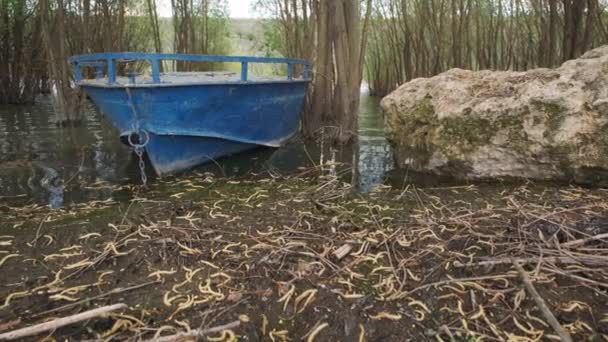 Vieux Bateau Sur Rive Bateaux Pêche Près Rive Paysage Fluvial — Video