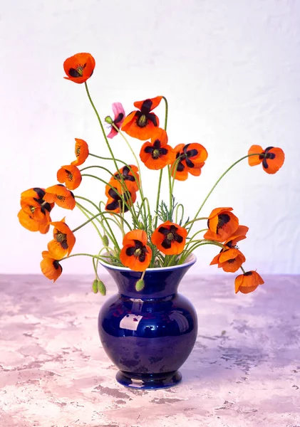 Belles Fleurs Pavot Rouge Dans Vase Fond Décor Maison Gris — Photo