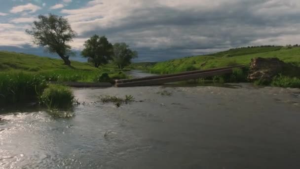Берегу Маленькой Реки Перед Грозой Маленькая Чистая Река Зеленые Заросшие — стоковое видео