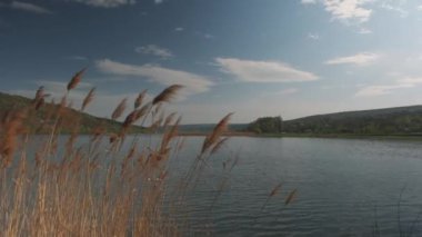 Gün batımından önce nehir. Nehirde güzel bir akşam