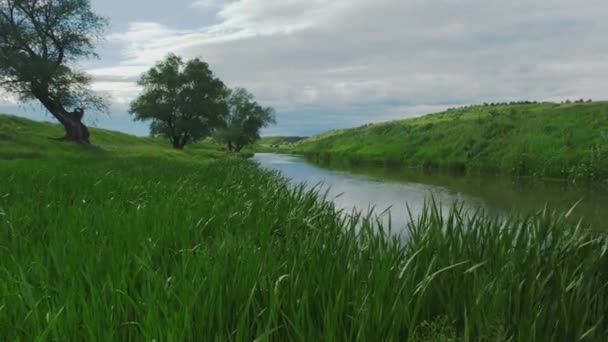 Aan de oever van een riviertje voor een onweer. Kleine schone rivier en groen begroeide rivieroevers. — Stockvideo