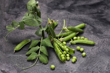 Gri tavan arasında yaprakları olan yeşil bezelye kabukları