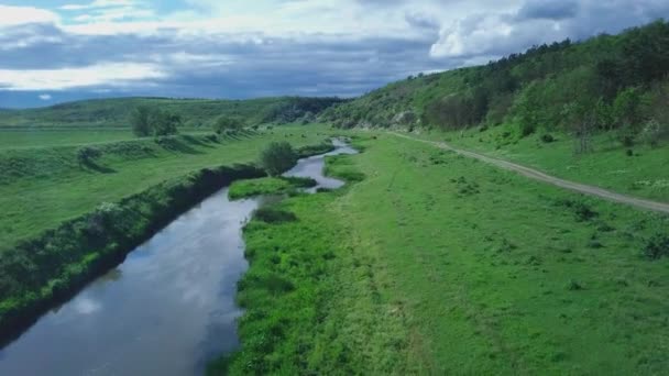 Vue Haut Caméra Survole Champ Vert Avec Des Vaches Brouteuses — Video