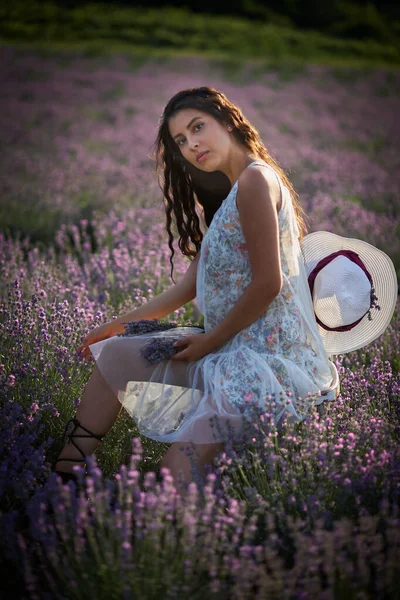 白いサラファンの美しい女の子は木製の椅子に座ってラベンダー畑の真ん中にポーズ — ストック写真