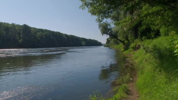 Stranden Flod Före Ett Åskväder Liten Ren Flod Och Gröna — Stockvideo