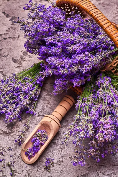 Fleurs Lavande Dans Panier Sur Fond Béton Gris Vue Dessus — Photo