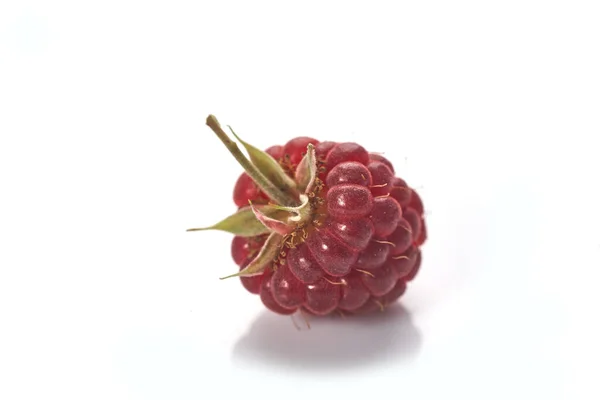 Close up ripe Raspberry on white background — Stock Photo, Image