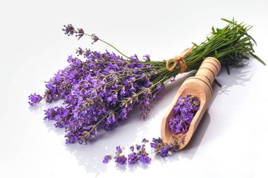 Beyaz arkaplanda bir demet lavanta çiçeği var..