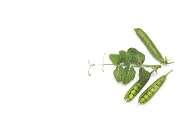 白い背景に孤立した葉を持つ緑のエンドウ豆のポッド — ストック写真