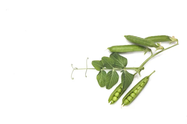 白い背景に孤立した葉を持つ緑のエンドウ豆のポッド — ストック写真