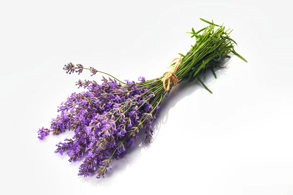 Bouquet Fleurs Lavande Isolé Sur Fond Blanc — Photo