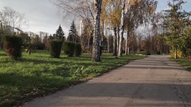 Güneşli Bir Günde Boş Sonbahar Şehir Parkında Hareket Eden Bir — Stok video
