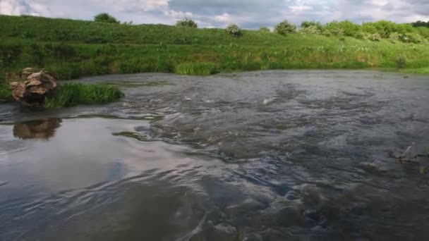 高速クローズアップで山の川の水。石に水が当たります。孤独な緑の植物が川から生えてきました。4kビデオ上の川の急速な流れ. — ストック動画