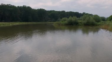 Yazın Ormanın Yakınındaki Göl