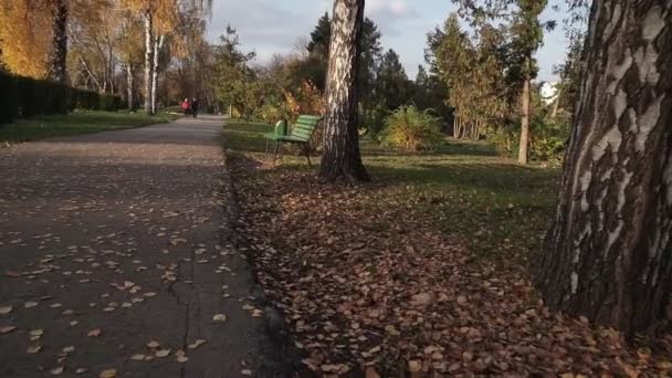カメラは晴れた日に空の秋の都市公園を移動します 長い路地は明るい紅葉で覆われています 背景に太陽の光と美しい秋の風景 Pov — ストック動画