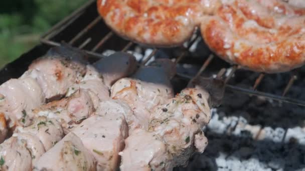 Carne Parrilla Fuego Abierto Aire Libre Bbq Cocinar Patio Trasero — Vídeos de Stock