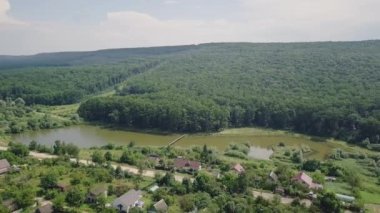 Göl kenarındaki güzel küçük bir köyün ve yeşil ormanın havadan görünüşü. Stok görüntüleri. Modern evlerin, köylerin manzarası..