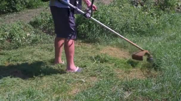 Mannen Klipper Gräset Med Bensintrimmer — Stockvideo