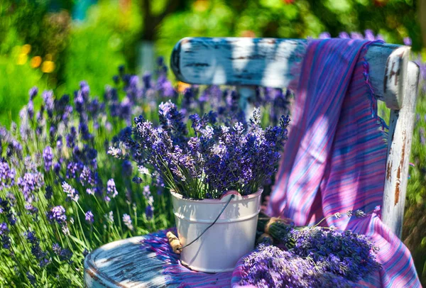Weiße Vase Mit Lavendelstrauß Auf Vintage Stuhl Auf Lavendelfeld Hintergrund — Stockfoto